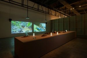Robert Zhao Renhui, _Trying to Remember a River_ (2023). Exhibition view: 14th Gwangju Biennale: _soft and weak like water_, South Korea (7 April–9 July 2023). Courtesy the artist and Gwangju Biennale Foundation. Photo: glimworkers.